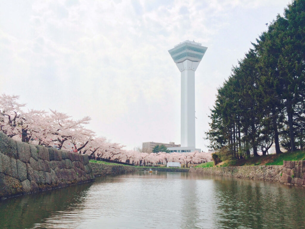 ボートから眺めた桜と五稜郭タワー