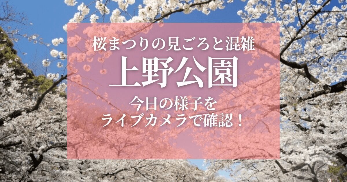 上野公園桜まつりアイキャッチ