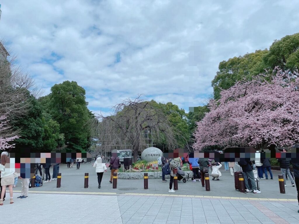 上野公園入口のオオカンザクラ